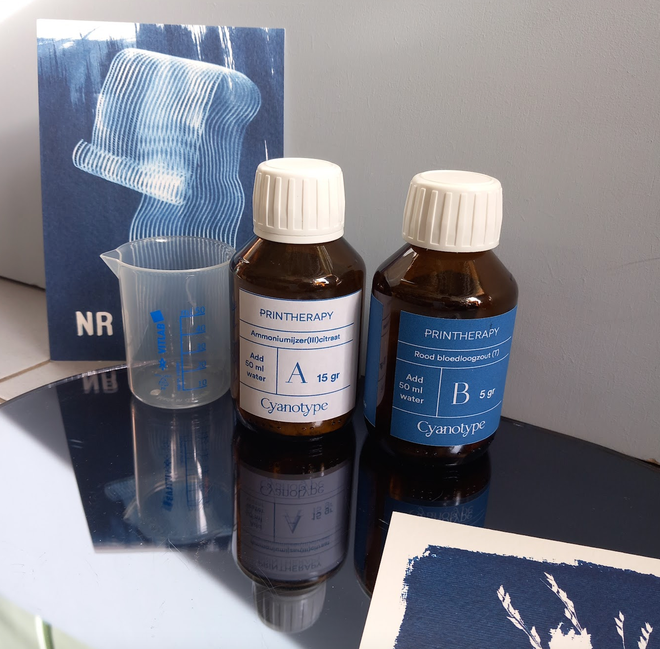 Cyanotype Printing Kit
