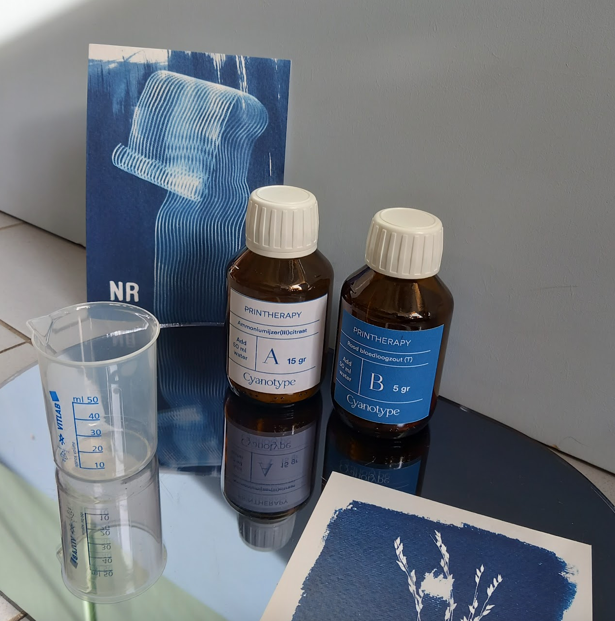 Cyanotype Printing Kit