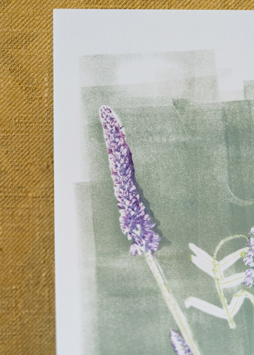 Printing Private Party 25 may: Botanical Mono Prints