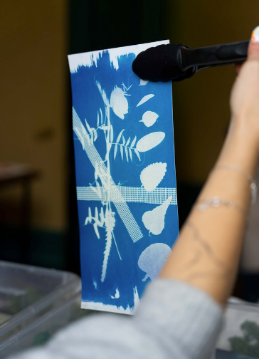 Cyanotype Printing Kit