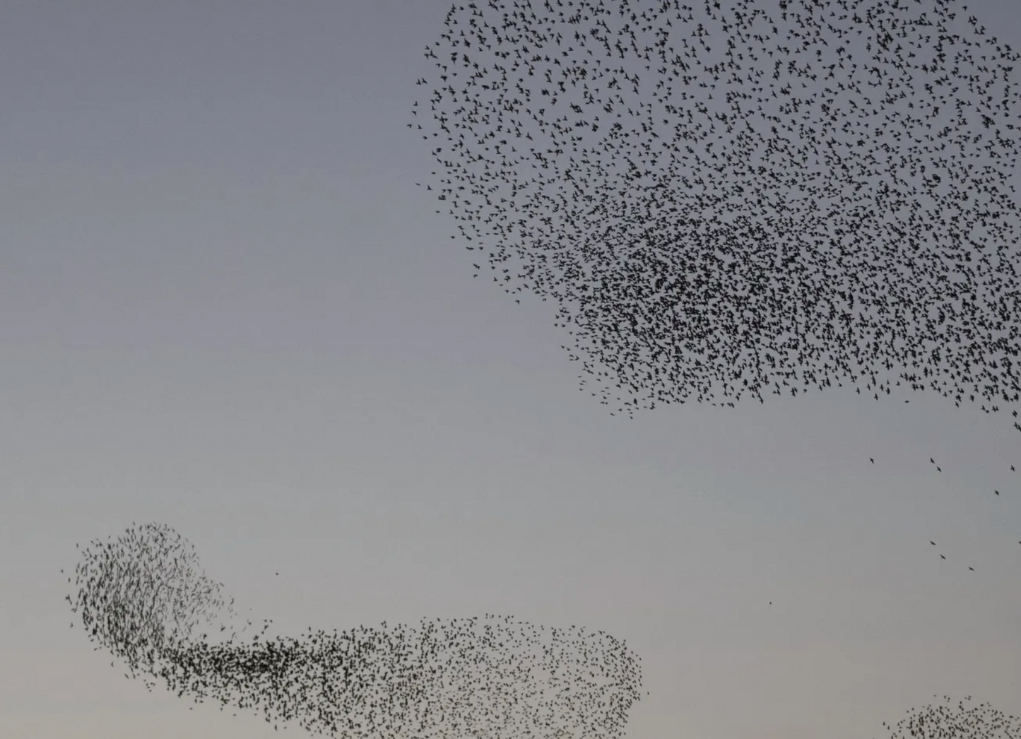 Workshop: Creativiteit in tijden van teveel
