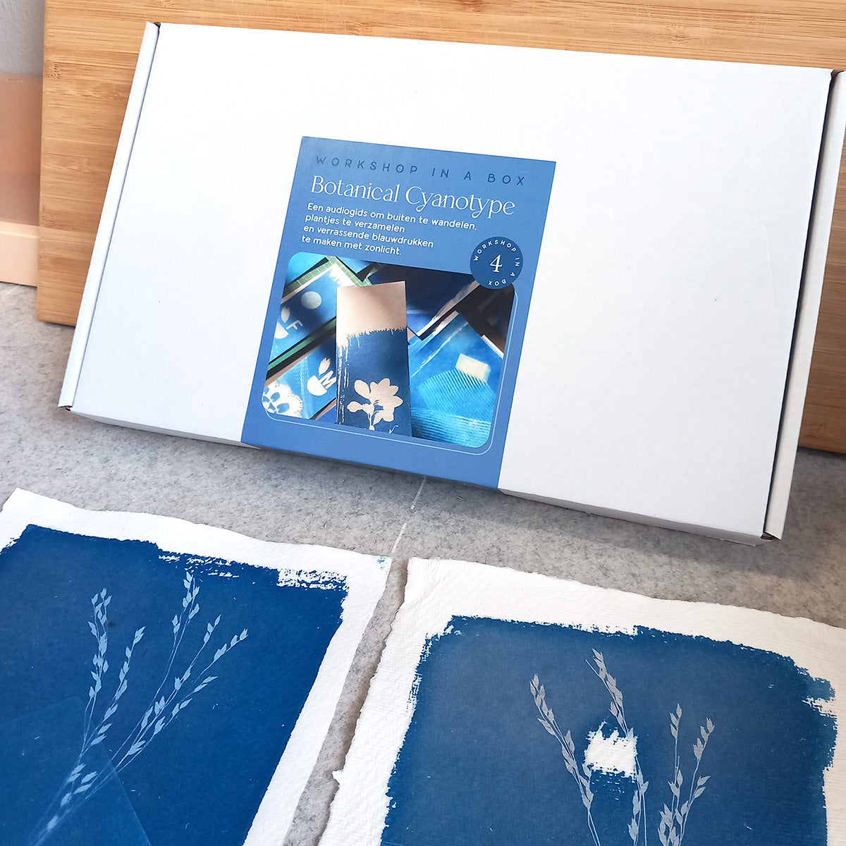 Box #4 Botanical Cyanotype