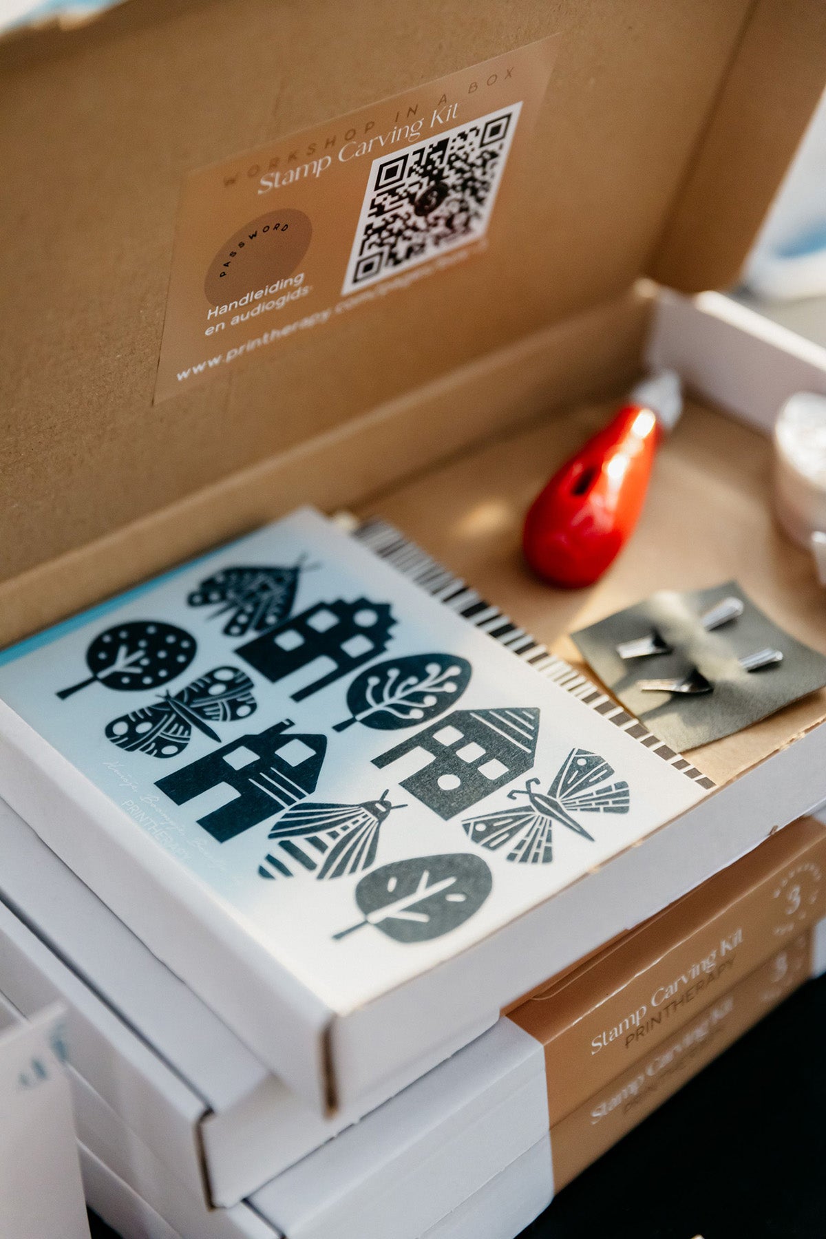 Box #3 Stamp Carving Kit