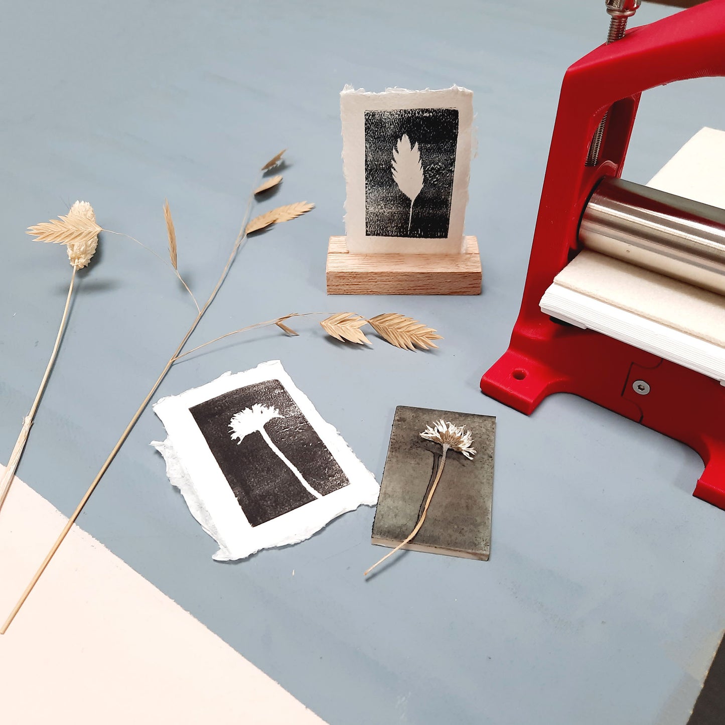 Creative Life Workshop: Botanical Mini Print