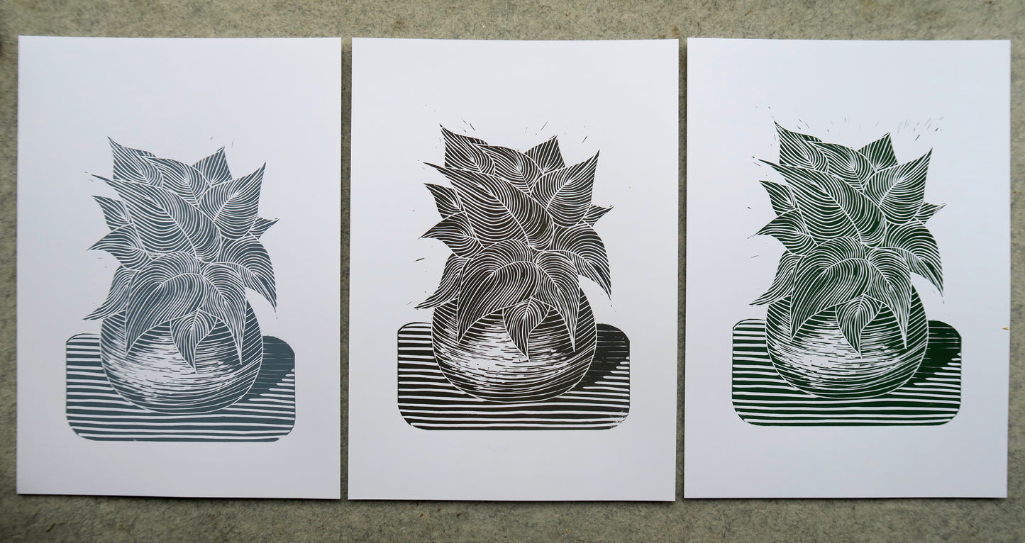 Hosta Plant Original Lino Print