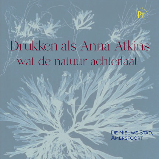 Drukken als Anna Atkins - gel printing workshop