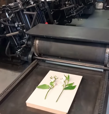 Printing Workshop: Botanical Mono Prints