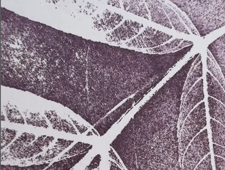 Nature Print Playground