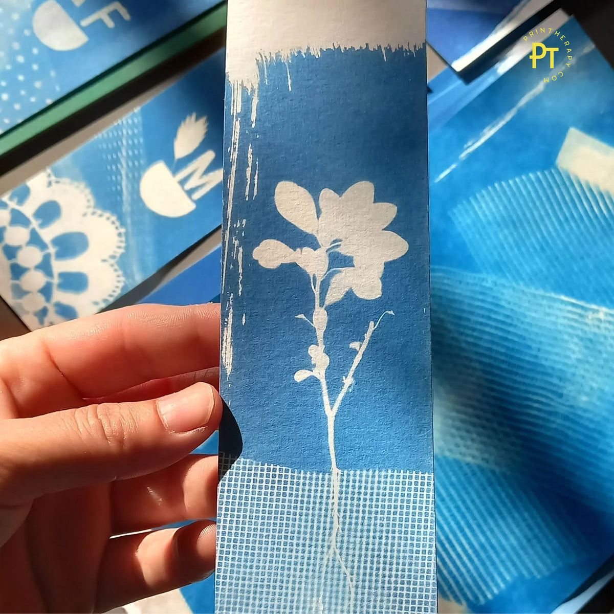 Cyanotype Workshop - Blauwdrukken