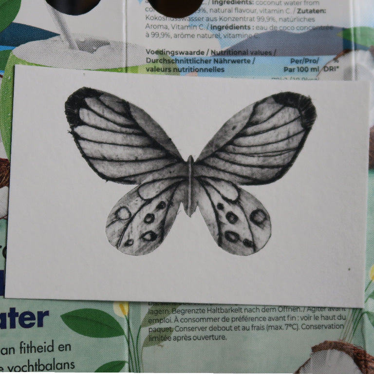 Creative Life Workshop: Tetradruk Vlinders