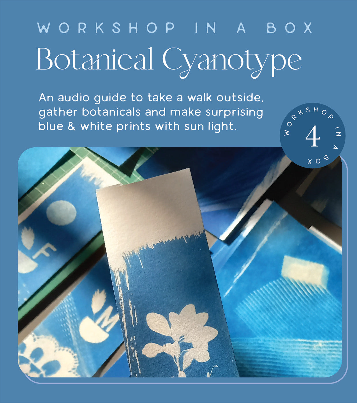 Box #4 Botanical Cyanotype