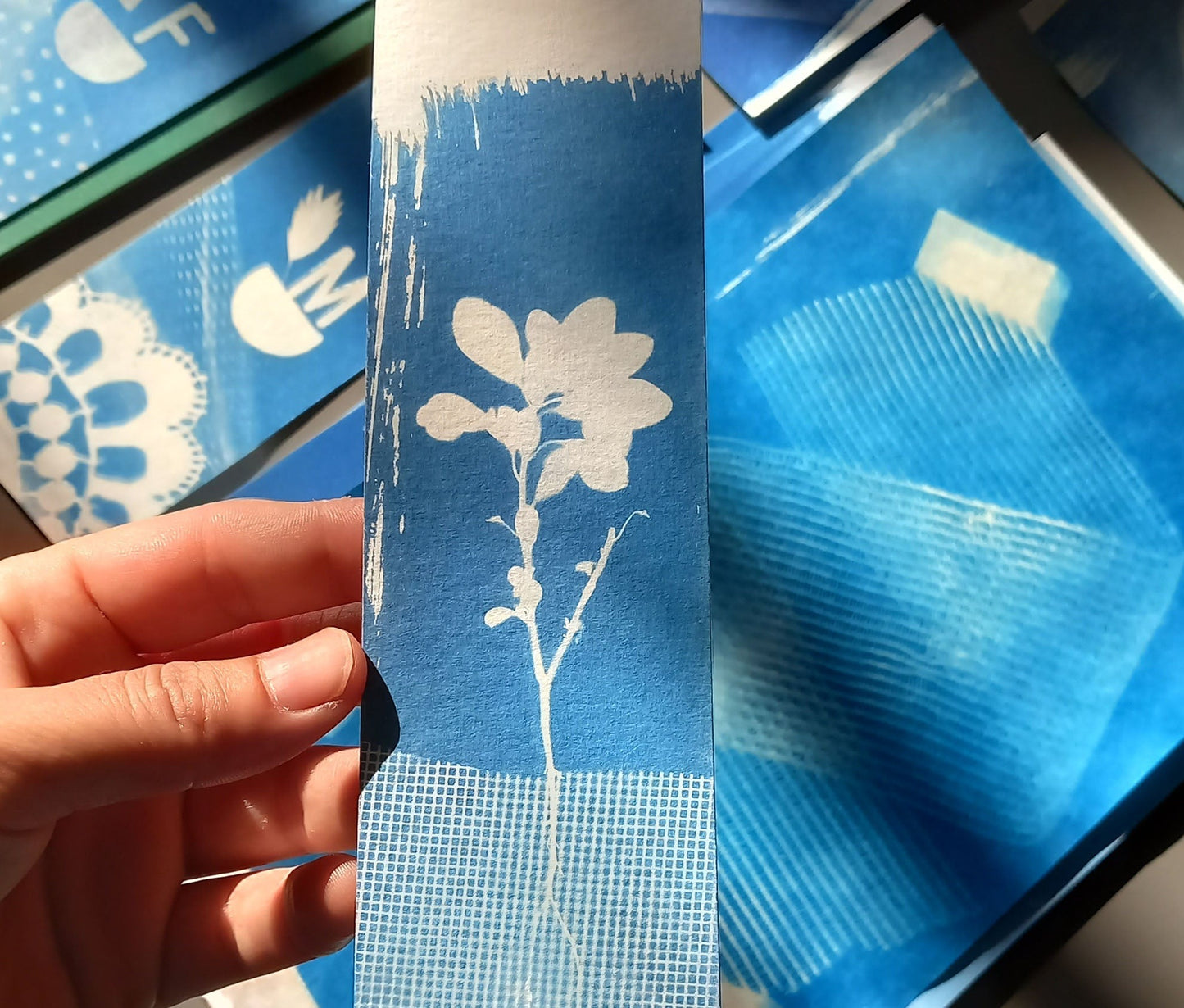 Cyanotype Workshop - Blauwdrukken in De Nieuwe Stad
