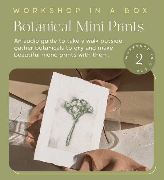 Box #2 Botanical Mini Prints