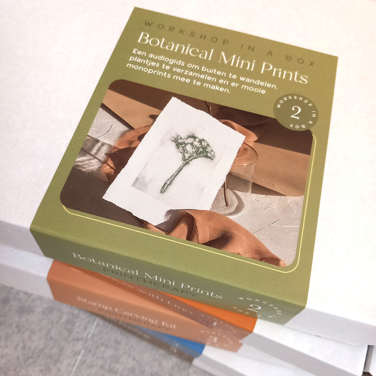 Box #2 Botanical Mini Prints